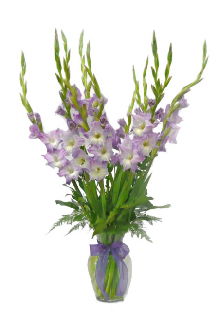 Gladiola Vase Arrangement